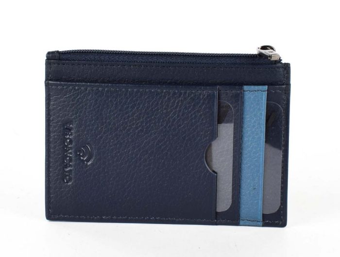 Futrola Za Kred.kartice 41241523 Alaska VR