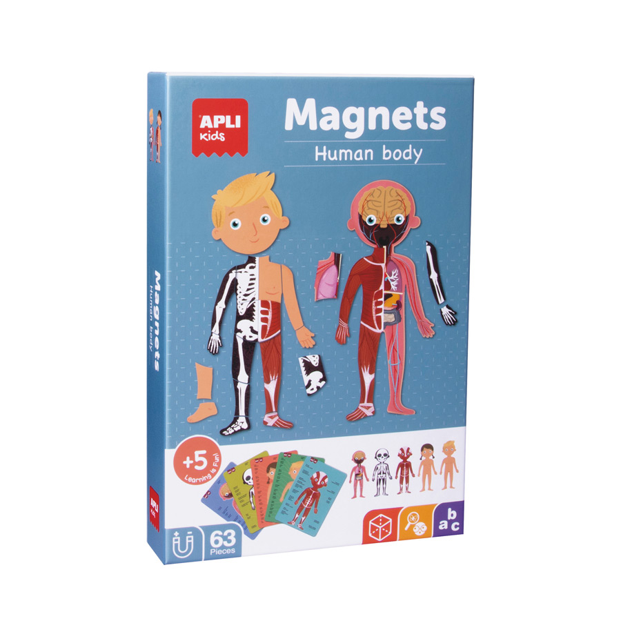 Magneti Human Body 18531 Apli